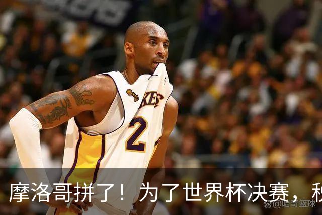 摩洛哥拼了！为了世界杯决赛，税收优惠大放送